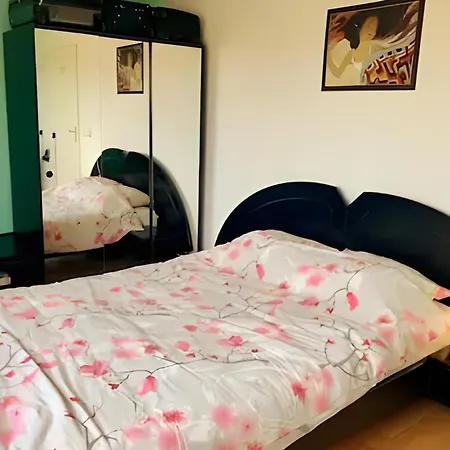 ホームステイ Amsterdam Edge Haven プルムレンド